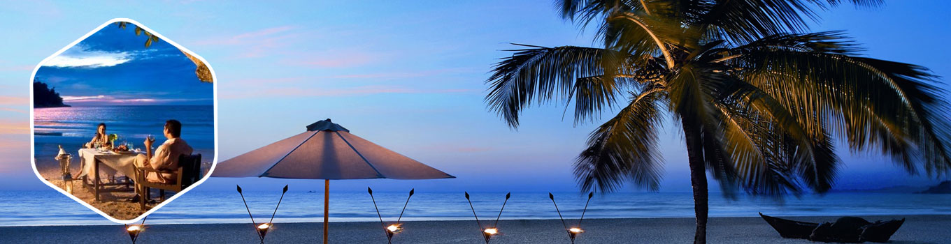 goa-banner1