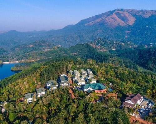 the-leaf-munnar